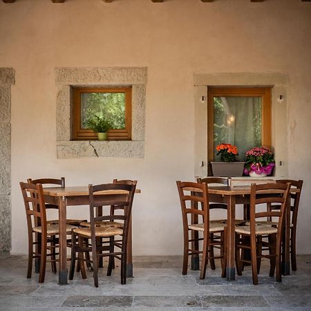Agriturismo Il Bosco Camere Vittorio Veneto Kültér fotó