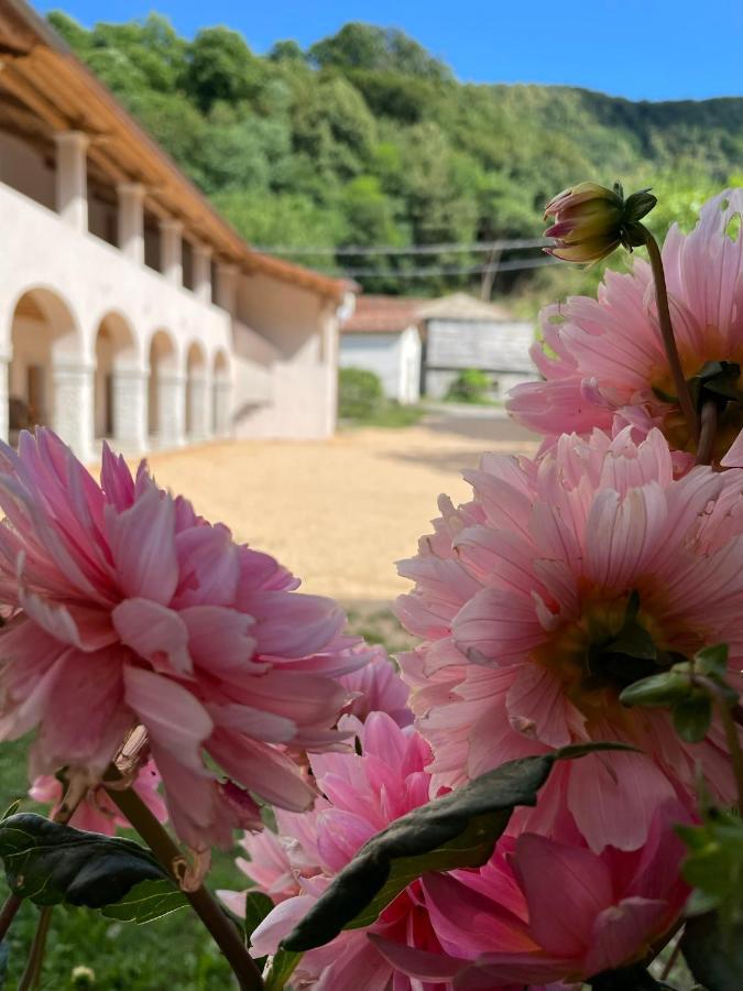 Agriturismo Il Bosco Camere Vittorio Veneto Kültér fotó